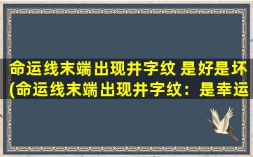 命运线末端出现井字纹 是好是坏(命运线末端出现井字纹：是幸运还是不祥征兆？)